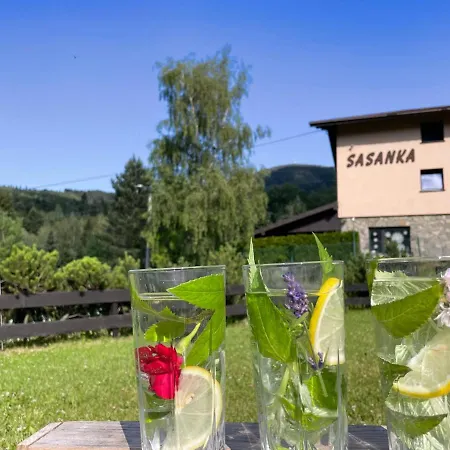 Sasanka Przy Gondoli ベッド・アンド・ブレックファスト シュチルク