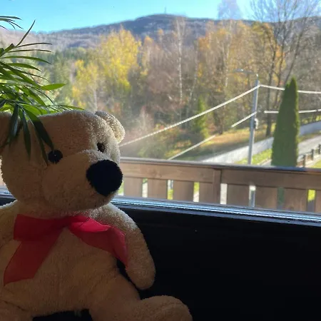 Sasanka Przy Gondoli Bed and Breakfast 3*