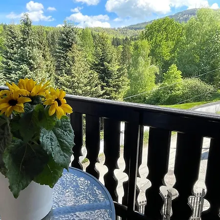 Sasanka Przy Gondoli 3*