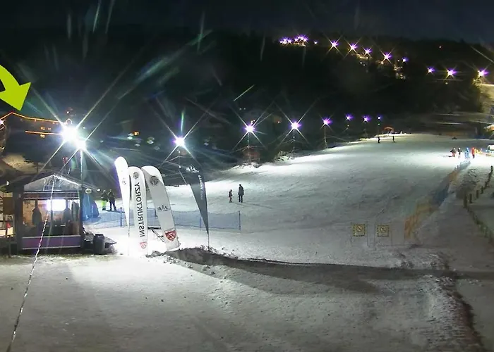 Sasanka Przy Gondoli