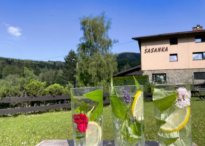 Sasanka Przy Gondoli فندق مبيت وإفطار شتوروك