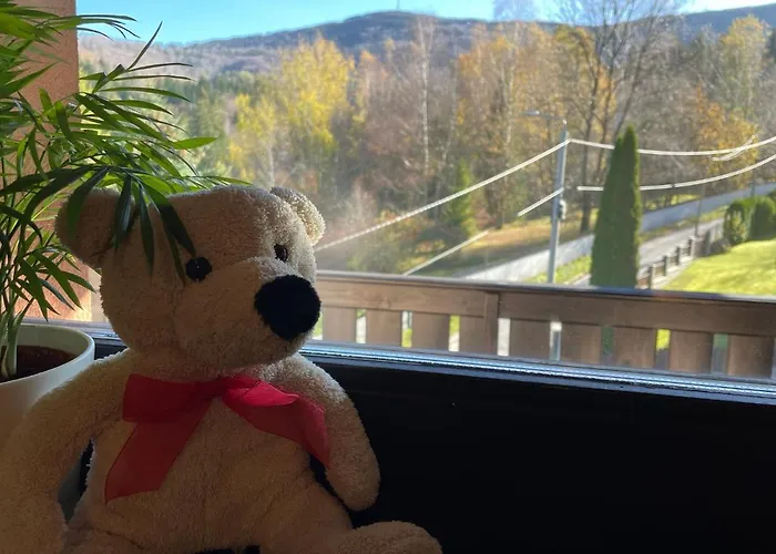 Sasanka Przy Gondoli לינה וארוחת בוקר 3*