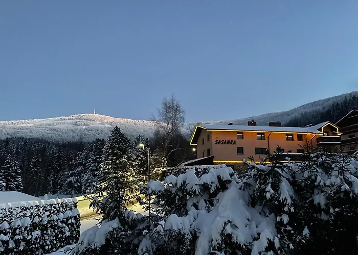 Sasanka Przy Gondoli לינה וארוחת בוקר 3*