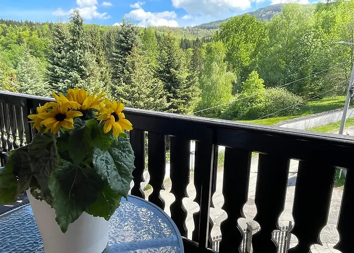 Sasanka Przy Gondoli 3*