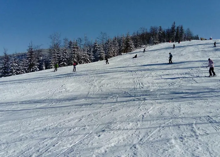 Sasanka Przy Gondoli שצ'צ'ירק