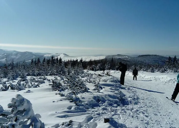 فندق مبيت وإفطار Sasanka Przy Gondoli 3*